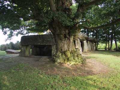 Dolmen de la Roches Aux F&eacute;es